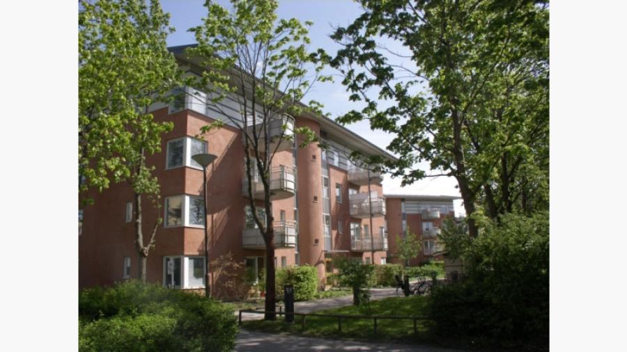 Från norr